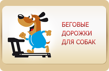 Беговые дорожки для собак