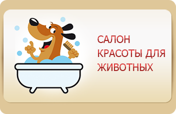 Салон красоты для животных