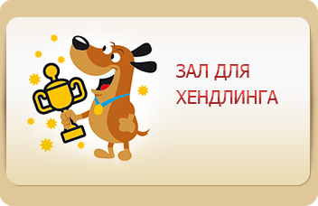 Зал для хендлинга